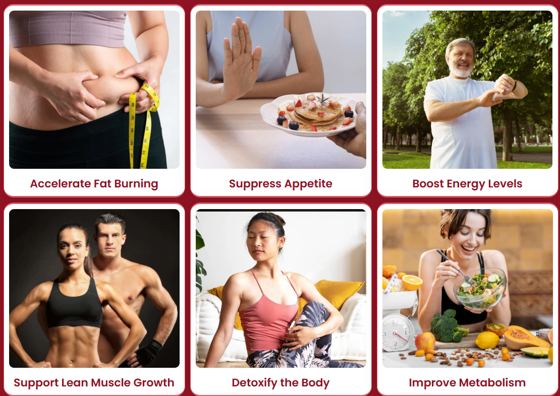 Alkatide benefits